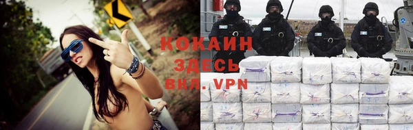 spice Алексин