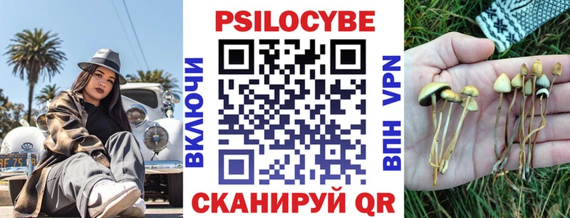 Галлюциногенные грибы Psilocybine cubensis  как найти наркотики  Цимлянск 